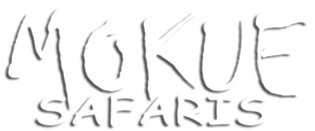 LOGO W s